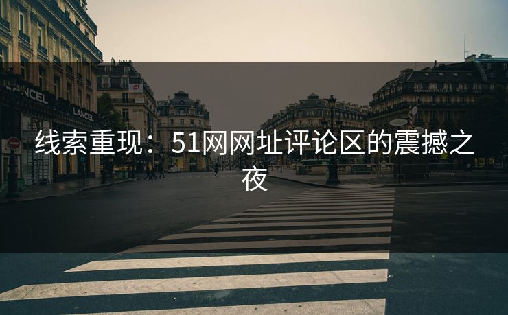 线索重现：51网网址评论区的震撼之夜
