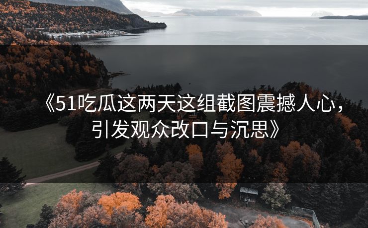 《51吃瓜这两天这组截图震撼人心，引发观众改口与沉思》