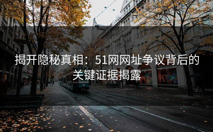 揭开隐秘真相：51网网址争议背后的关键证据揭露