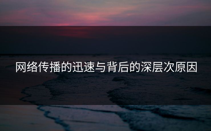 网络传播的迅速与背后的深层次原因